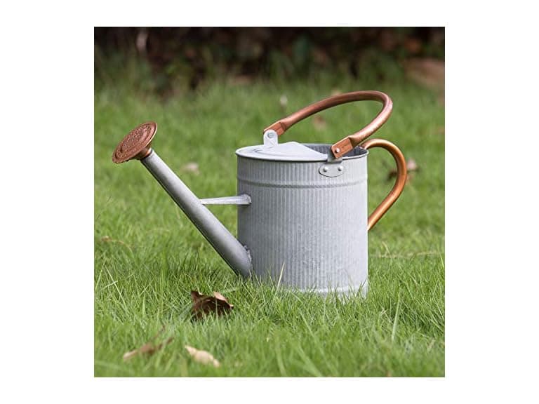 HORTICAN 1 Gallon Metal Watering Can