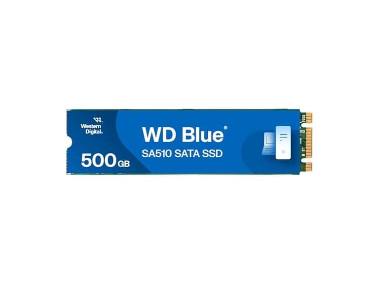 Western Digital 500GB WD BLUE SATA M.2