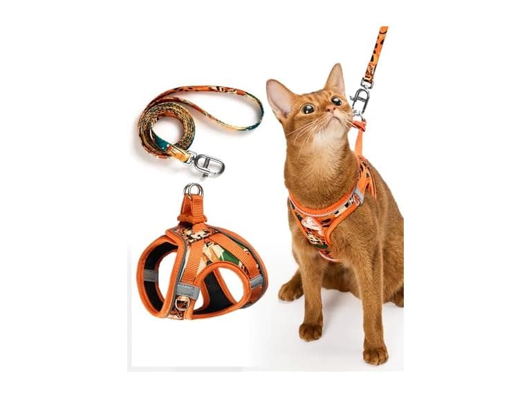 PetThem Cat Harness and Leash Set
