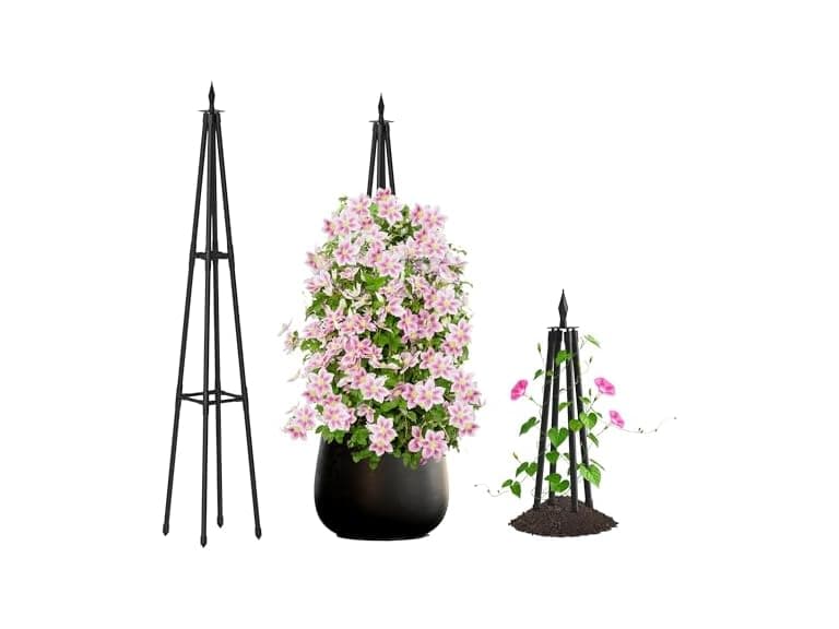 Hsundries 4FT Obelisk Climbing Trellis