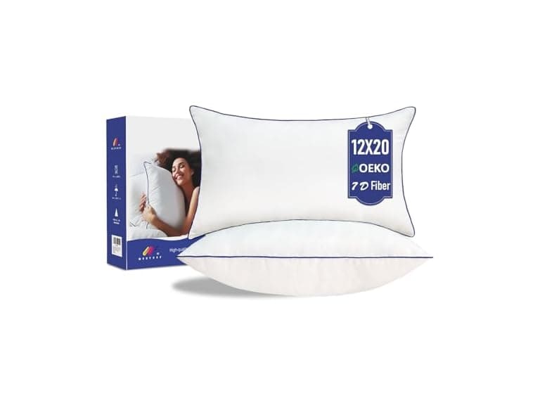 Pillow Insert Set of 2