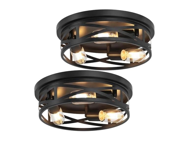 Bosceos B0DHH1HP3L 13 Inch Ceiling Light 2-Pack
