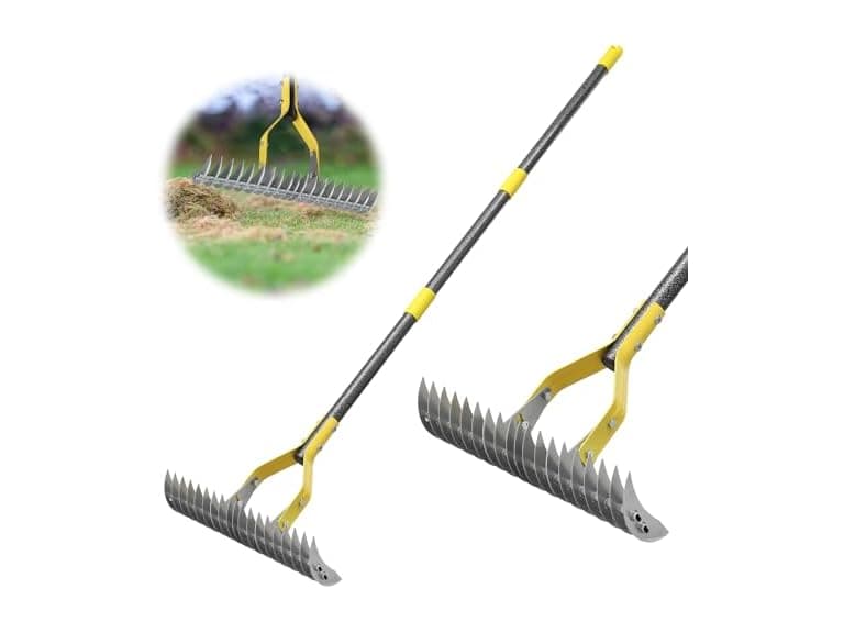 Thatch Rake, 2-in-1