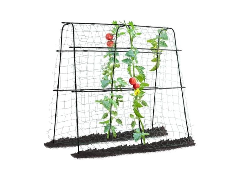 FOLLOOK Garden Cucumber Trellis, 5ft