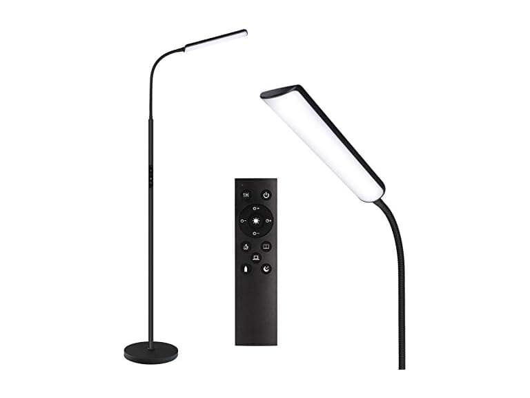 Dimunt Floor Lamp
