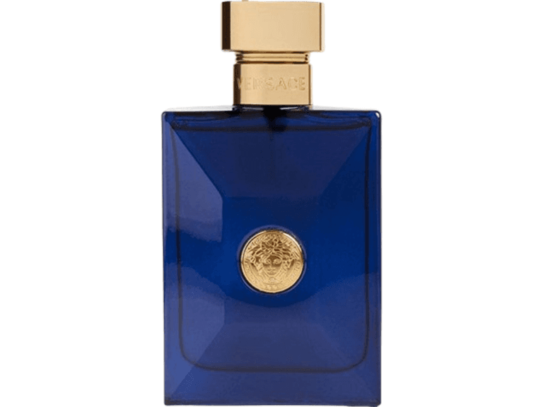 Versace Dylan Blue Versace EDT Spray Tester 3.4 Oz