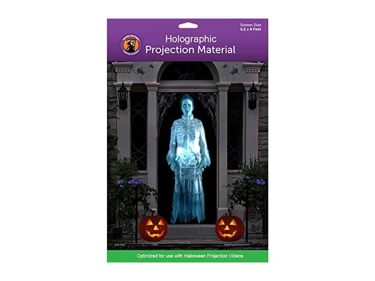 Holographic Rear Projection Screen