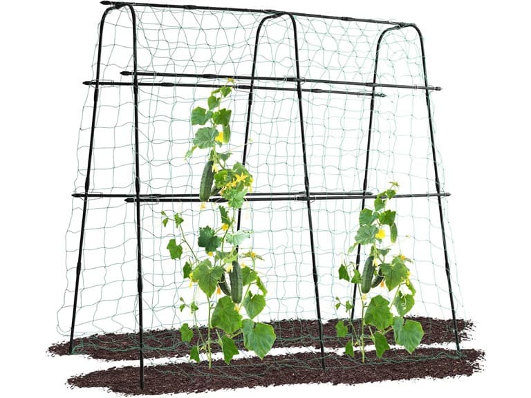 Lalahoni Cucumber Trellis | 5.3x5.3 Feet