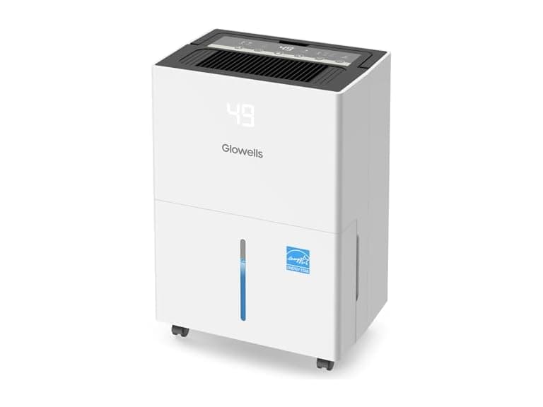 6500 Sq.Ft Glowells Dehumidifier