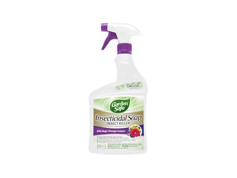 Garden Safe Brand Insecticidal Soap Insect Killer, 3PK