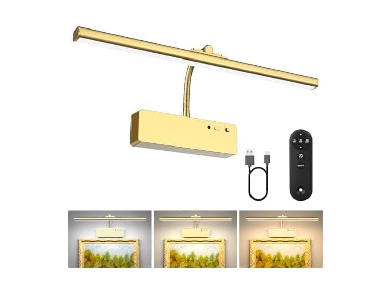 Lightbiz Picture Light for Wall
