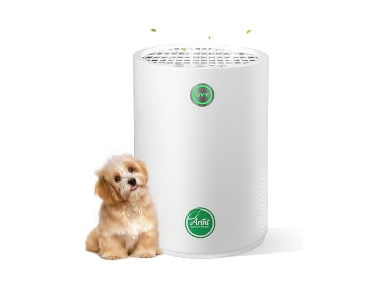 Arint HEPA Air Purifier for Bedroom