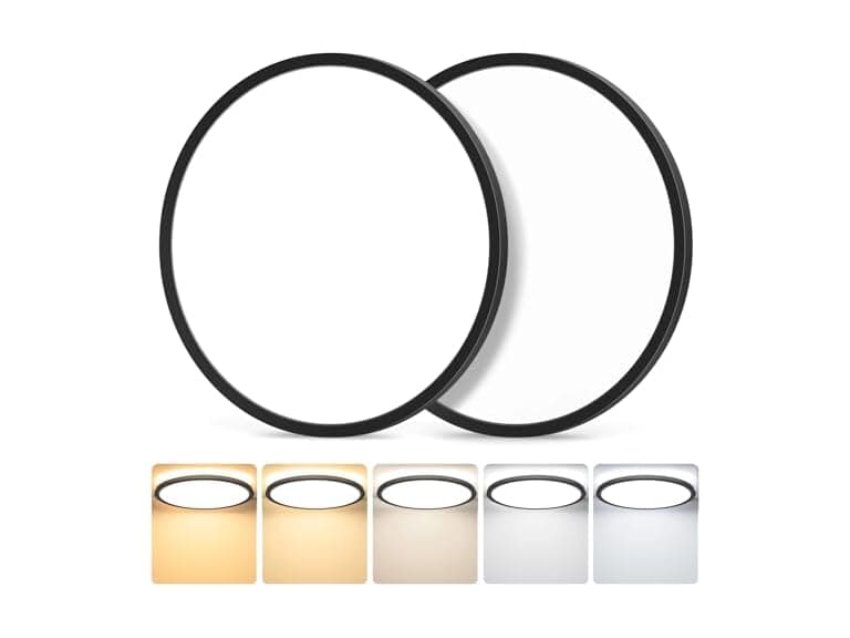 GoBright 2-Pack 12 Inch LED Ceiling