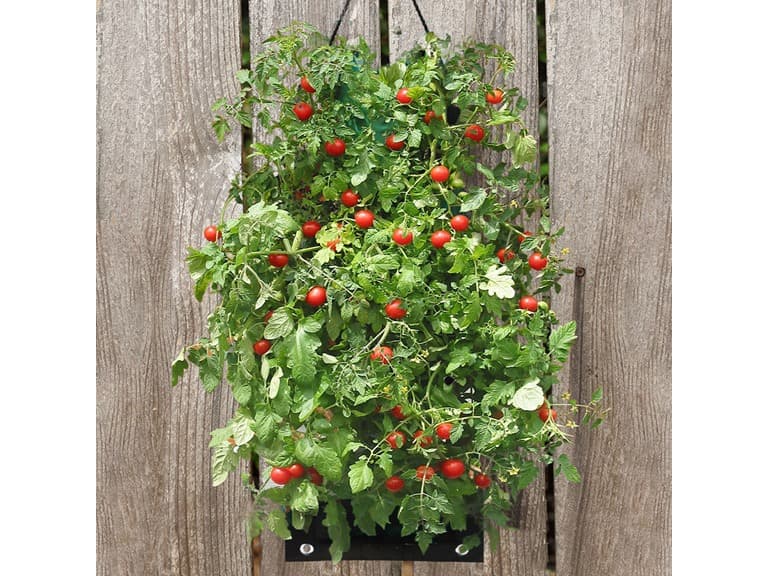 Organic Hanging Planter Bag Kit