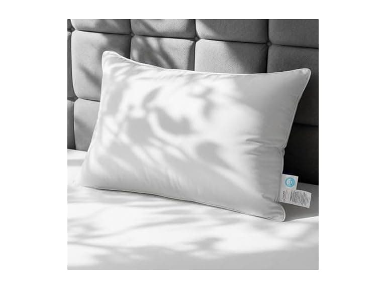 Wedhouc Goose Down Pillow