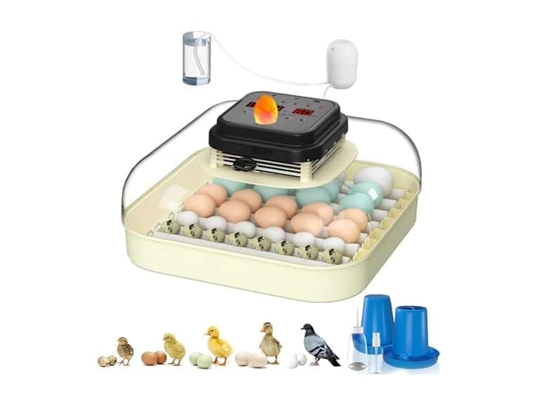CoInceptus 35 Eggs Incubators