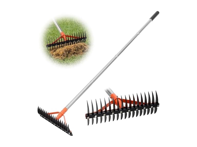 CKLT 18-Tine Thatch Rake 62.5in Handle