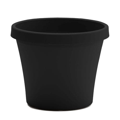 Bloem Terra Pot Planter (TR0600), Black, 6" (Saucer not included)
