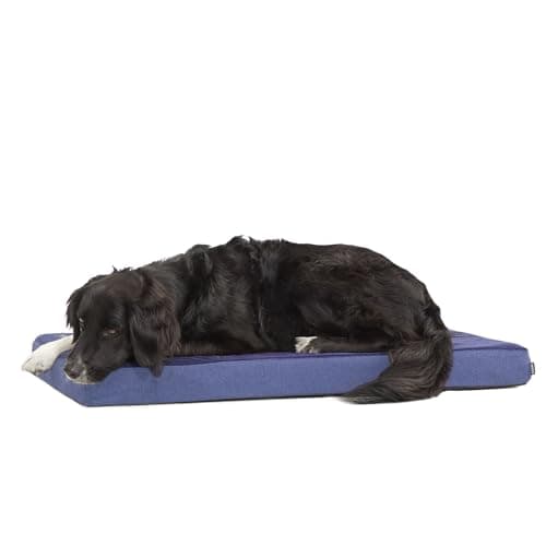 Barkbox Orthopedic Dog Bed wit...nd Easy to Clean - Navy, Large
