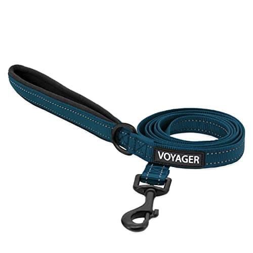 Best Pet Supplies Voyager Refl...and Training - Blue (Leash), S