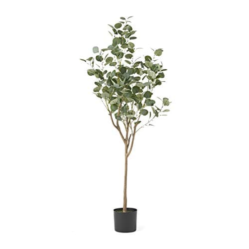 Christopher Knight Home Artifi...ts, 5 ft x 2 ft, Green + Black