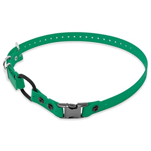 Educator 3/4-Inch Dog Training... Biothane Bungee Collar, Green