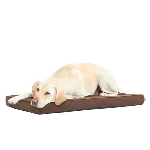 Barkbox Orthopedic Dog Bed wit...asy to Clean - Espresso, Large