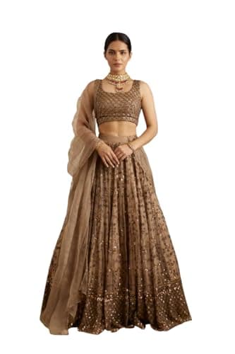 Frusha new indian Ready to Wear Bollywood Style Bridal-Wedding-Parties Lehenga Choli for Indian Women's And Girl's (B, 30)