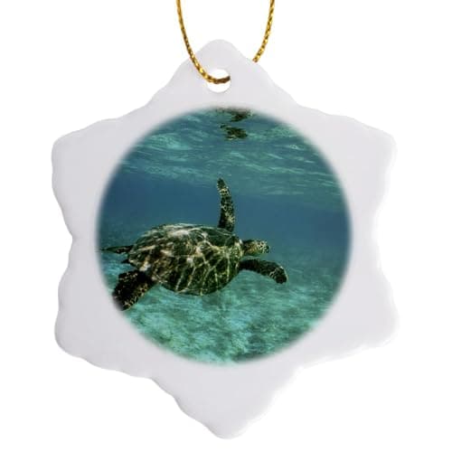 3dRose orn_89813_1 Green Sea T...ake Porcelain Ornament, 3-Inch