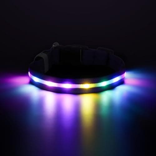 RUXAN Light Up Dog Collar,Dog Lights for Night Walking,LED Collars Waterproof,Glow Dog Collars Rechargeable,Glow in The Dark Dog Collar,Dog Collars Light for Small,Medium,Large Dogs (Small,Purple)