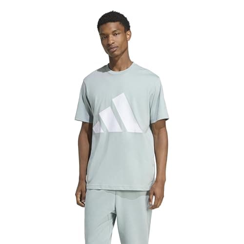 adidas Men's Essentials Big Logo T-Shirt, Wonder Sage/White, Large