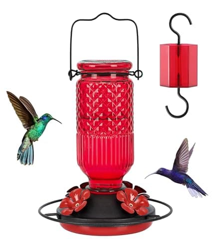 FEED GARDEN Glass Hummingbird Feeder, 16oz Outdoor Hanging Bird Feeder with Ant Moat, 4 Bee-Proof Feeding Ports, 360° Perch, Leak-Proof, Red