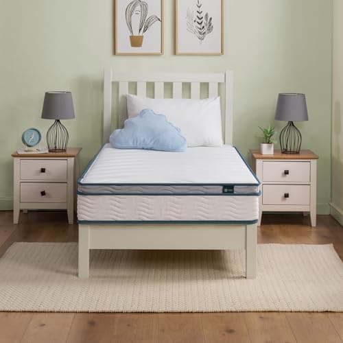 ZINUS 8 Inch Spring Sensation ...droom, Mattress in A Box, Twin