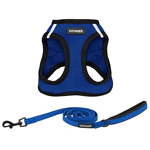 Best Pet Supplies Voyager Step...(Royal Blue/Black Trim), Small