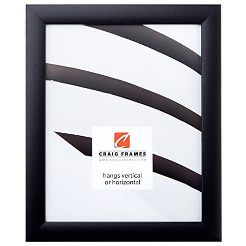 Craig Frames Contemporary Picture Frame, 22 x 28 Inch, Black