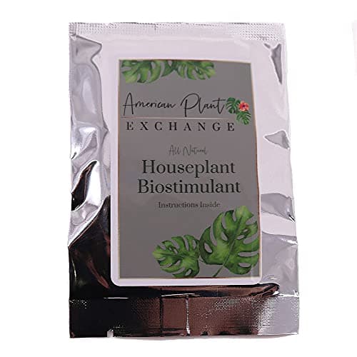 American Plant Exchange Indoor... Up to 1 Year with Just 2 Tabs