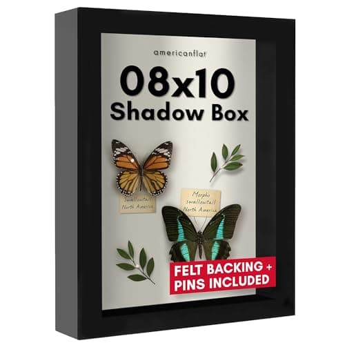 Americanflat 8x10 Shadow Box F...ay - Black with Soft Felt Back