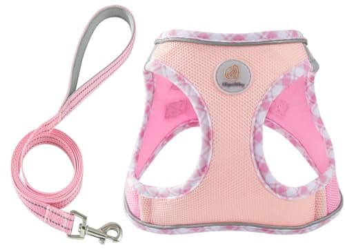 Hipubby Dog Harness Small Sized and Leash Set, No Pull Soft Mesh Puppy Vest, Reflective Breathable Lightweight Pet Harness, Harness for Small Medium Dogs and Cats - Light Pink S