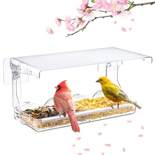 Window Bird Feeder Only $8 Shipped for Amazon Prime Members