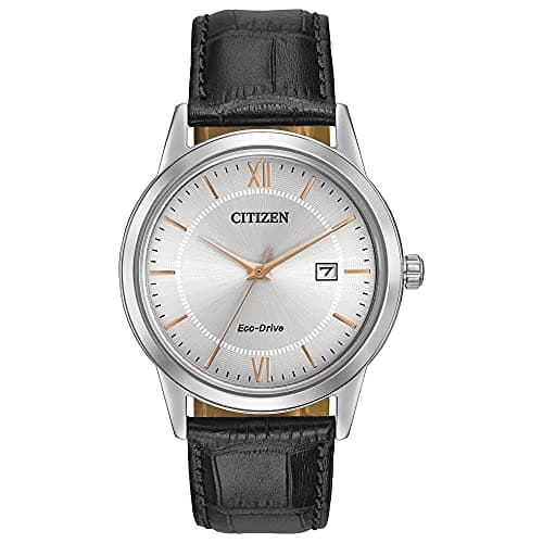 Citizen Men's Classic Eco-Drive Leather Strap Watch for $169 + free shipping
