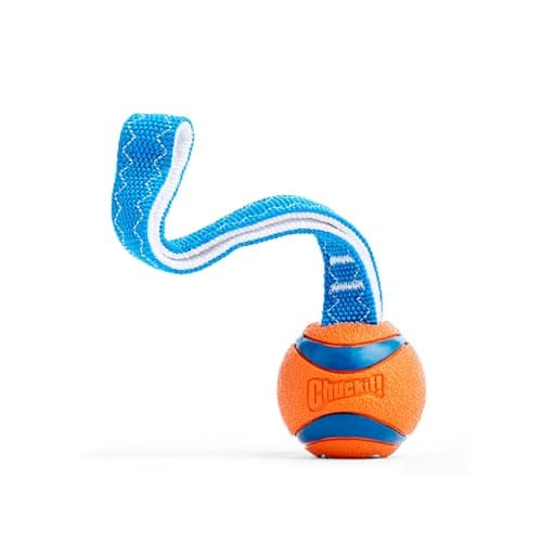 ChuckIt Dog Toys from $4.64 Shipped on Amazon (Reg. $10)