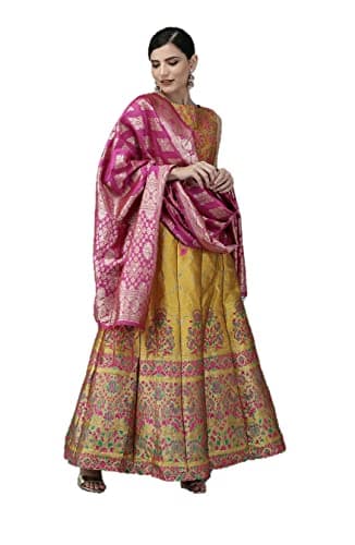 Parvdi Indian Style lehenga choli for women Wedding Party Wear Dress fully stitched