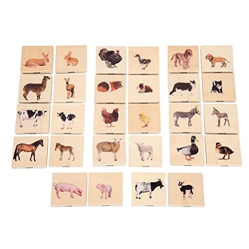 TickiT - 73406 Domestic Animal...tive Skills ,Critical Thinking