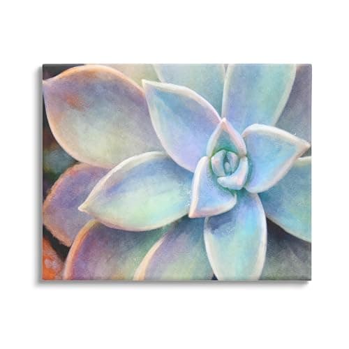 Stupell Industries Succulent P... Design by Artist Joshua Chace