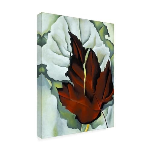 Pattern of Leaves by Georgia O...fe, 14x19-Inch Canvas Wall Art