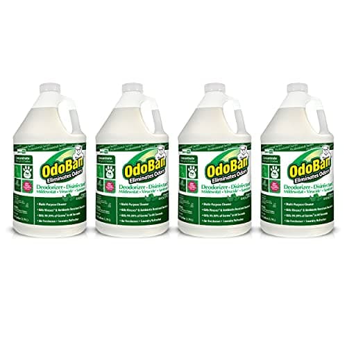 OdoBan Professional Disinfecta...ons, Original Eucalyptus Scent