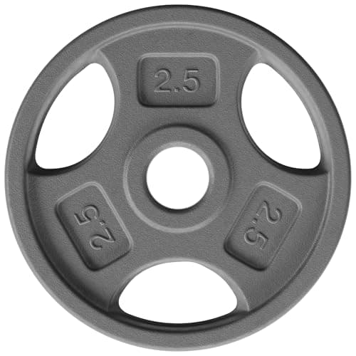 Yes4All 1 Inch Grip Cast Iron ...Weight Plates - 2.5lb - Single