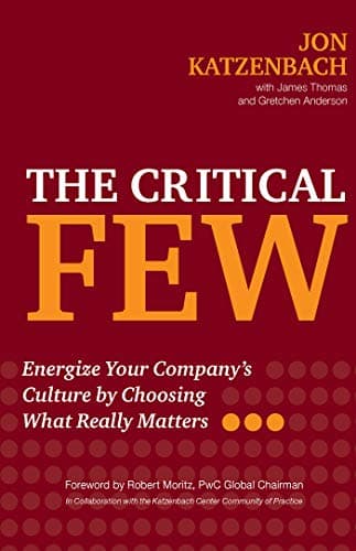 The Critical Few: Energize You...y Choosing What Really Matters