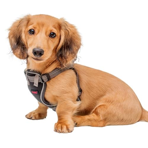 HALTI Anatomy Puppy Harness - ...og Breeds (Size X-Small, Grey)