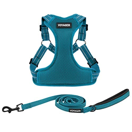 Best Pet Supplies Voyager Adju... Dogs Leash Set (Turquoise), M